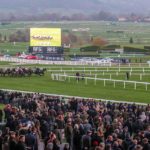 Cheltenham crowd 2018