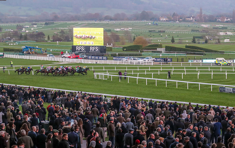 Cheltenham crowd 2018