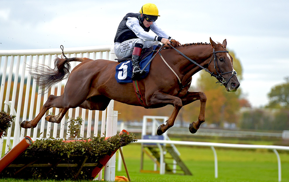 Lucky 15 Tips: Wednesday’s best bets across the tracks using our NAPs table