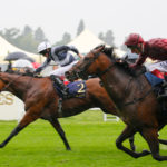 yankee bet