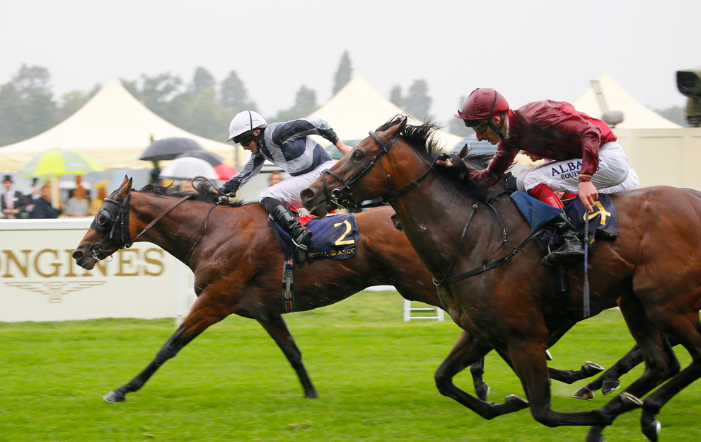 What is a Yankee Bet? 