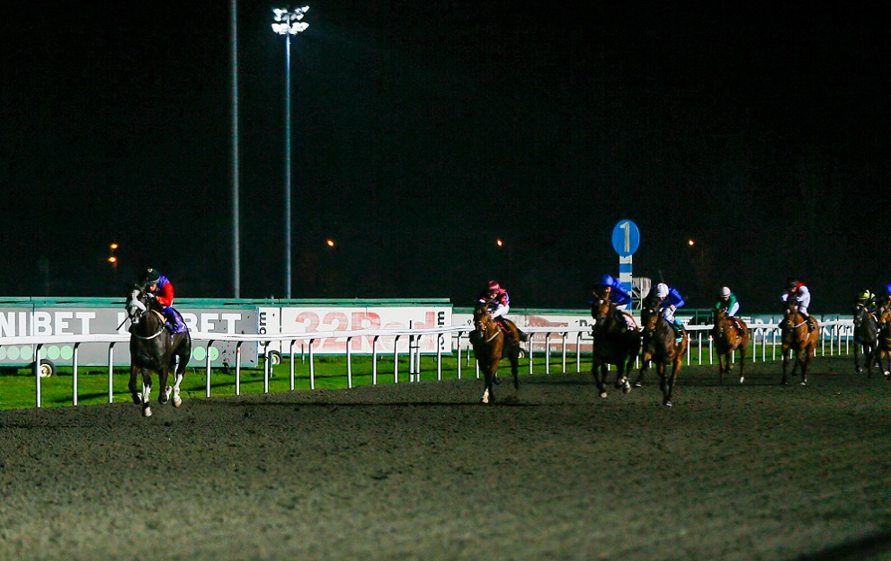 Horse Racing Tips: An 11/2 NAP leads the Kempton Charge tonight