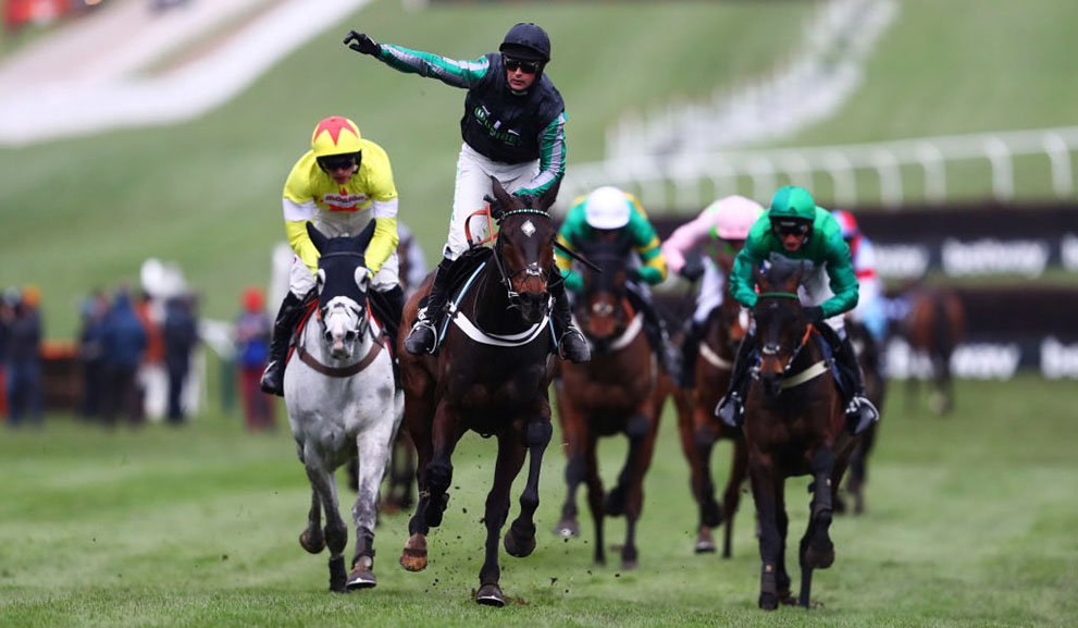 Queen Mother Champion Chase Tips: Breakdown of Every Runner & Rider