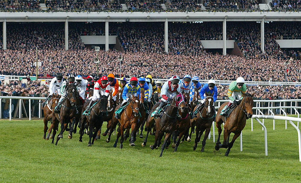 Cheltenham 2020: Paddy’s Day By Day Guide