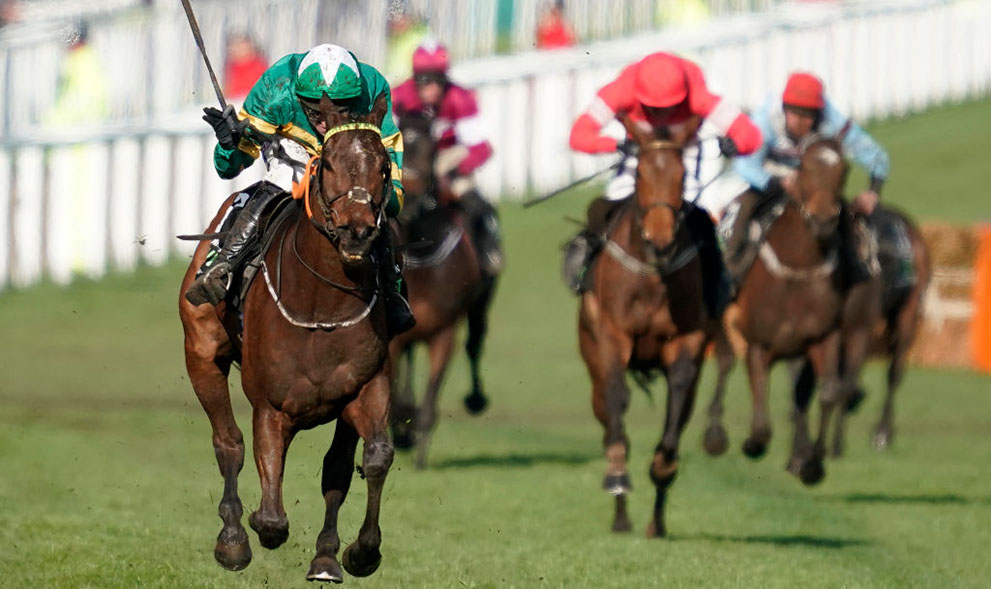 Champion Hurdle: Runner by Runner Guide