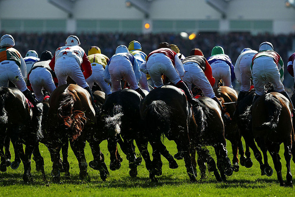 Supreme Novices' Hurdle Runner By Runner Guide