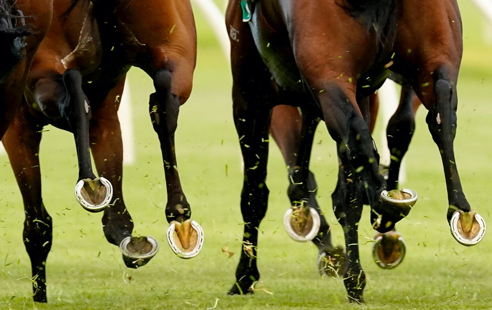 What does it mean when a horse has spread a plate?