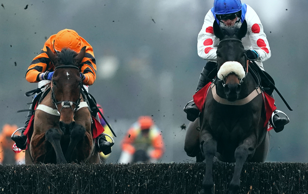 National Hunt race fences