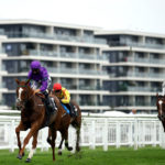Horse race type graded, handicap and selling
