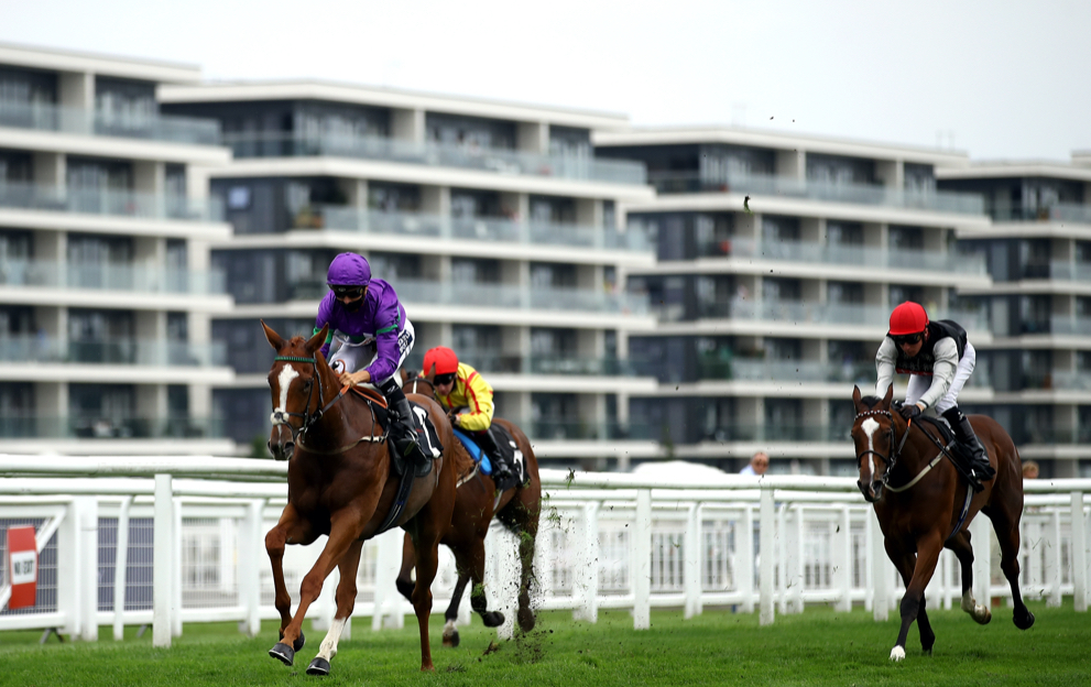 Horse race type graded, handicap and selling