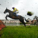 Novice hurdle guide at Paddy Power