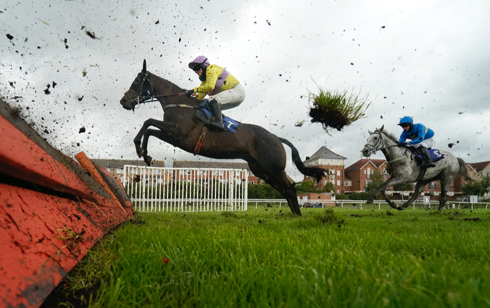 What does a novice hurdle in horse racing mean?
