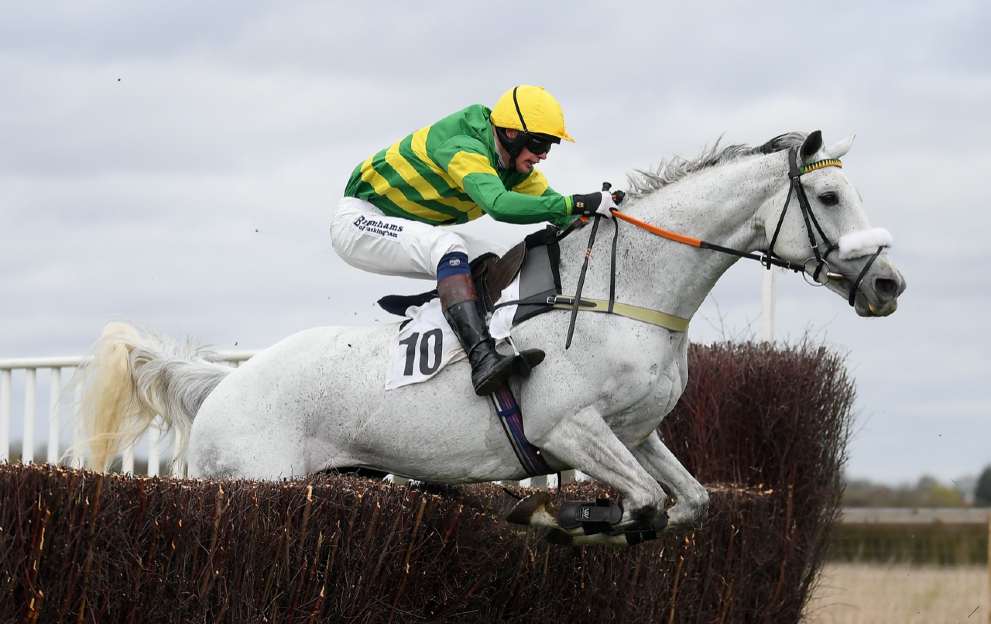 horse racing betting on point to point race