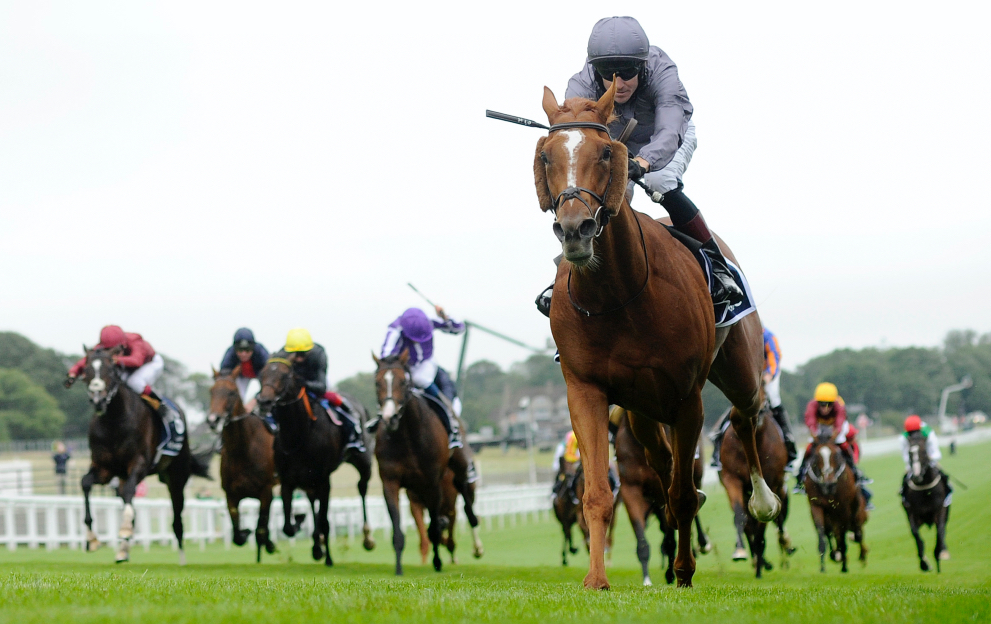 Derby and Oaks horse racing betting guide