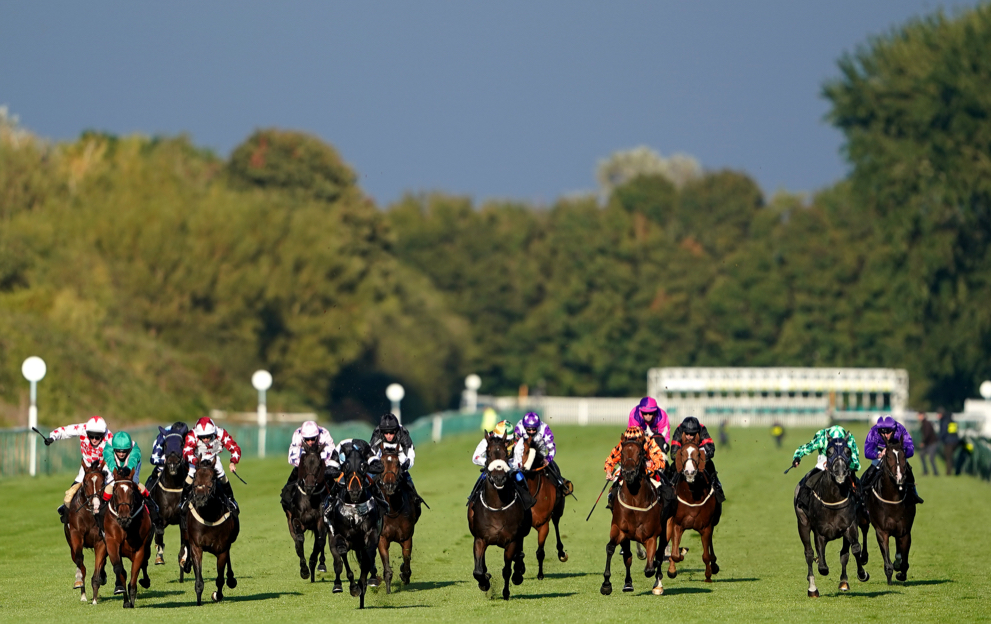 What is an optional claimer in horse racing?