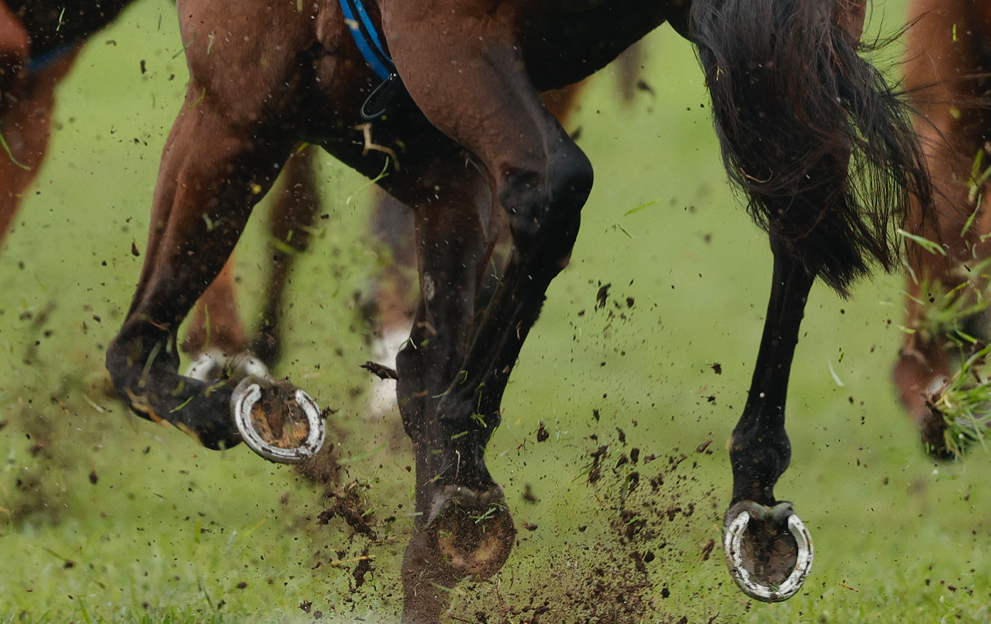 Horse racing knuckle over