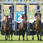 horse racing stalls betting guide Melbourne Cup