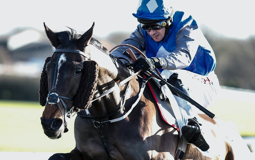 Claiming race horse racing betting guide