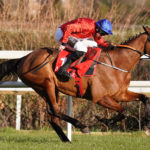 Horse racing tongue tie