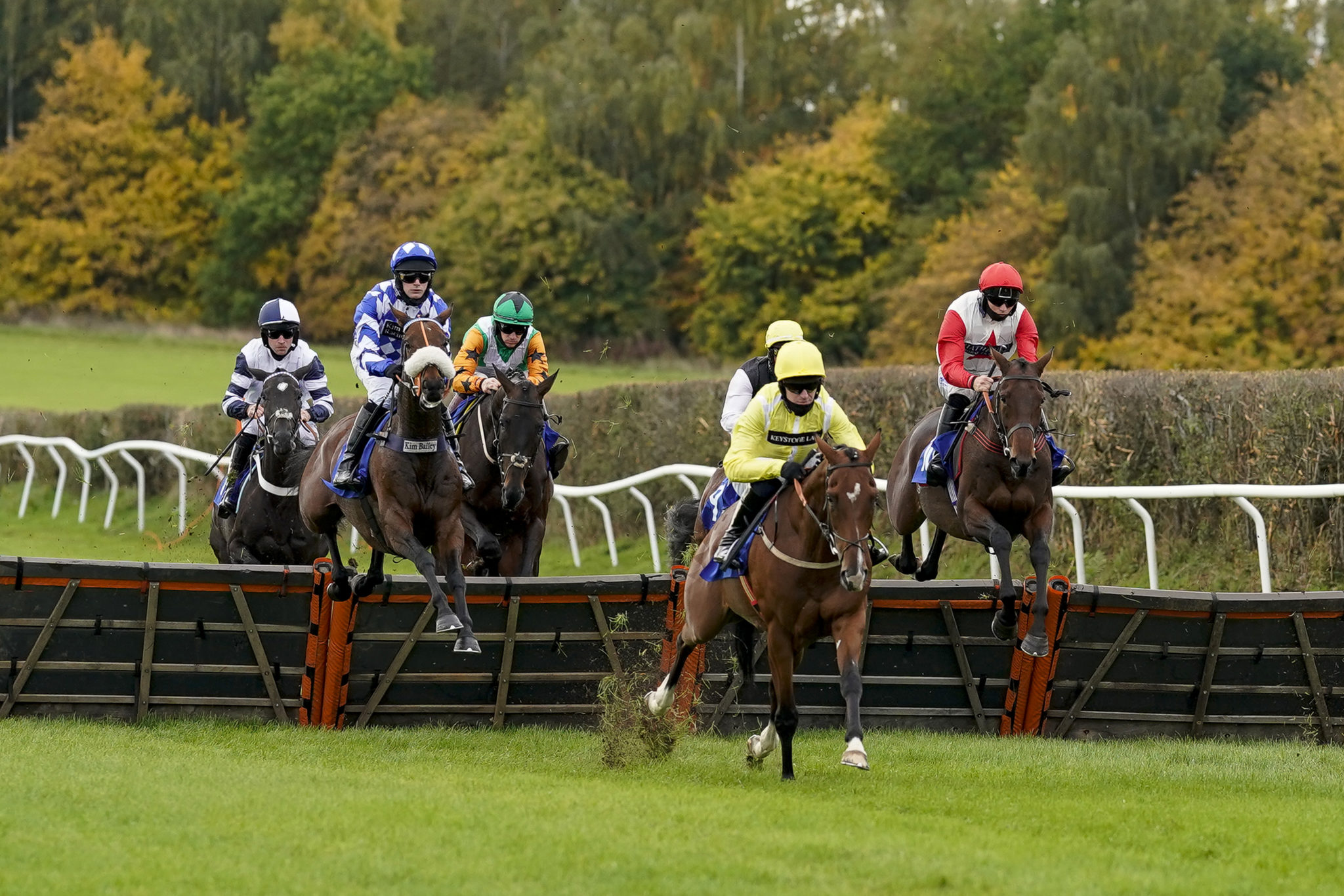 What is a Flag Bet? A Comprehensive Guide – Paddy Power News
