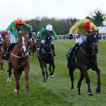 National Hunt race fences bumper
