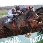Naas-jumps-meeting