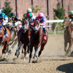 horse racing bull ring