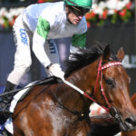 horse racing weight cloth