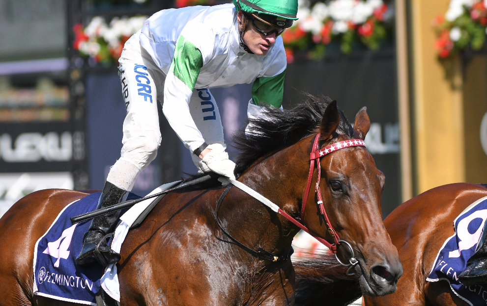 Why do some horses wear a ‘weight cloth’ during races?