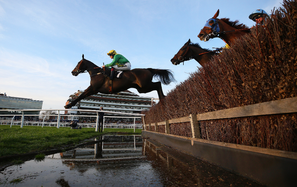 Steeplechase horse racing