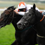 Horse racing look of eagles