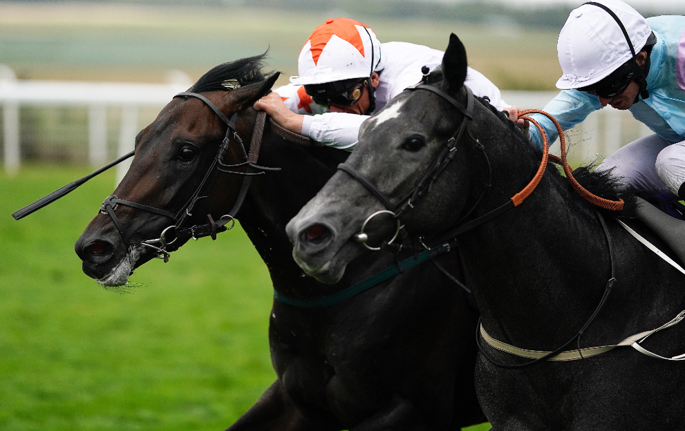 What does the phrase ‘Look of Eagles’ mean in horse racing?