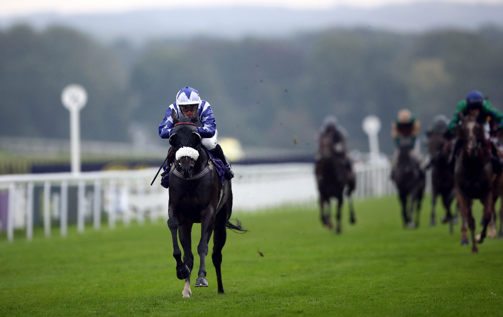 What is an apprentice jockey?