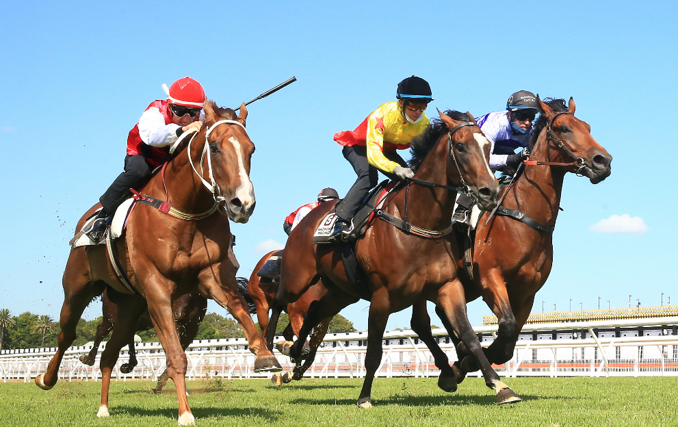 What does it mean when a horse is ‘pushed out’?