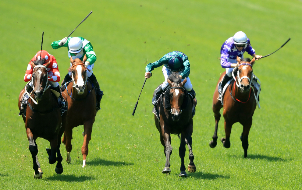 Horse racing ratings