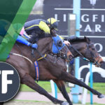 Lingfield Park Timeform
