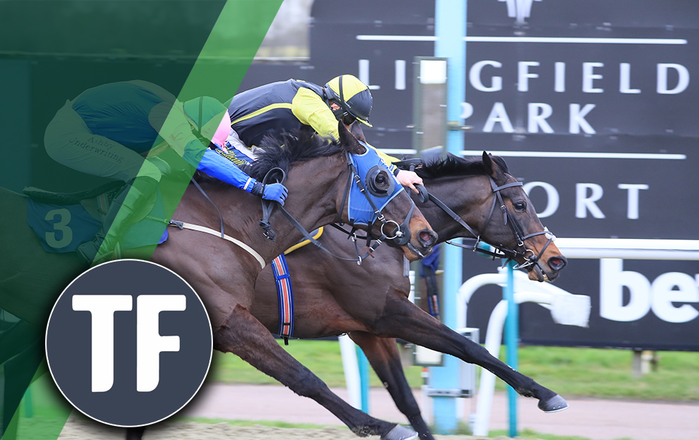 Lingfield Park Timeform