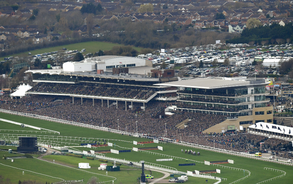 How many fans usually attend the Cheltenham Festival? How big is the capacity?