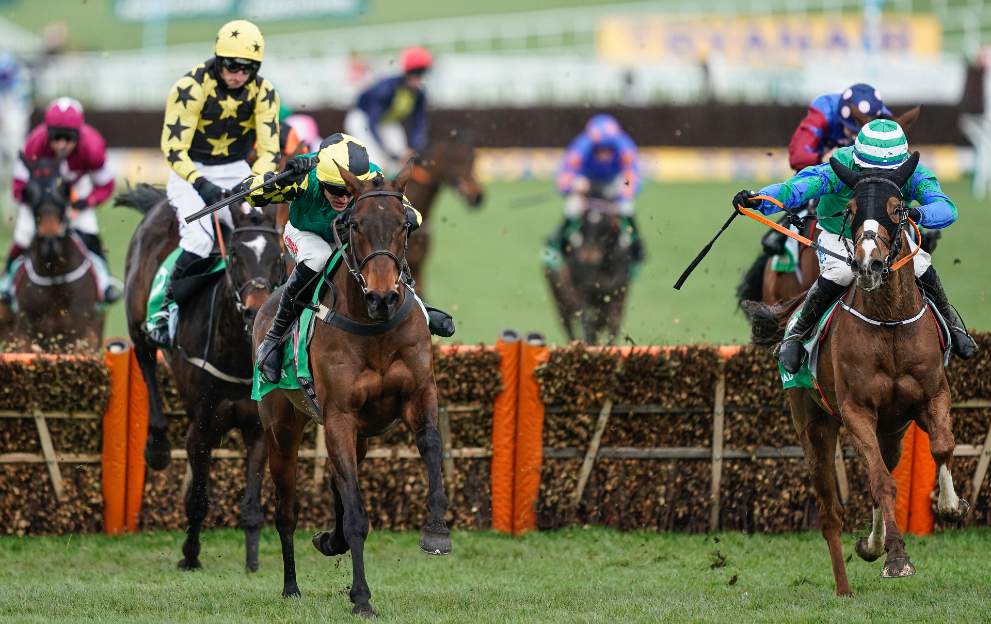 Cheltenham Festival fences and hurdles
