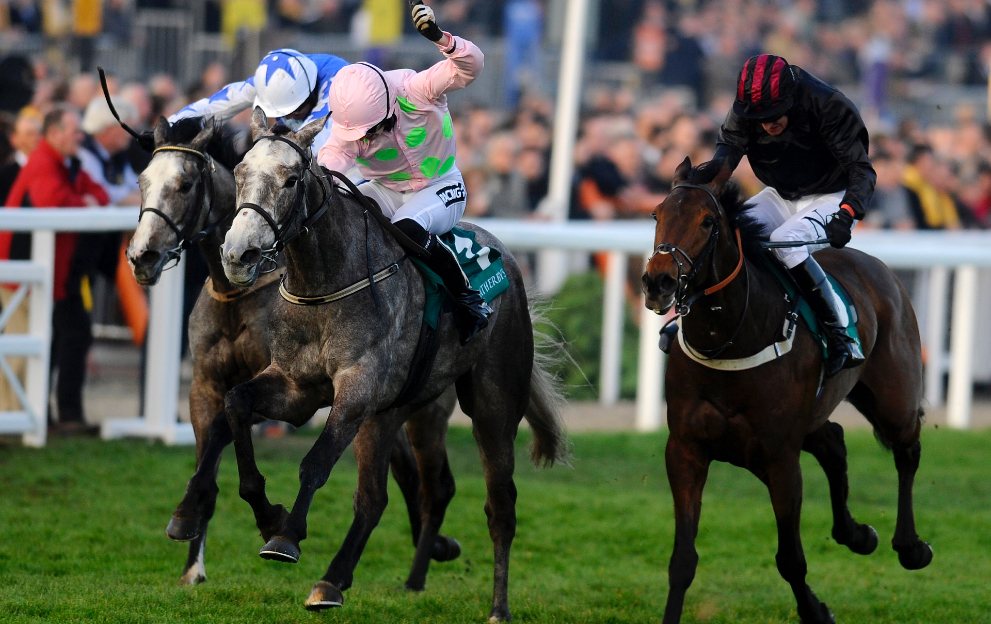 Why are there no jumps in the Cheltenham Festival Champion Bumper?