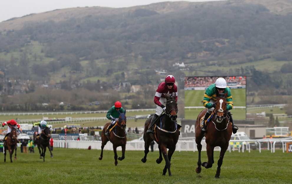 What is a juvenile in horse racing?