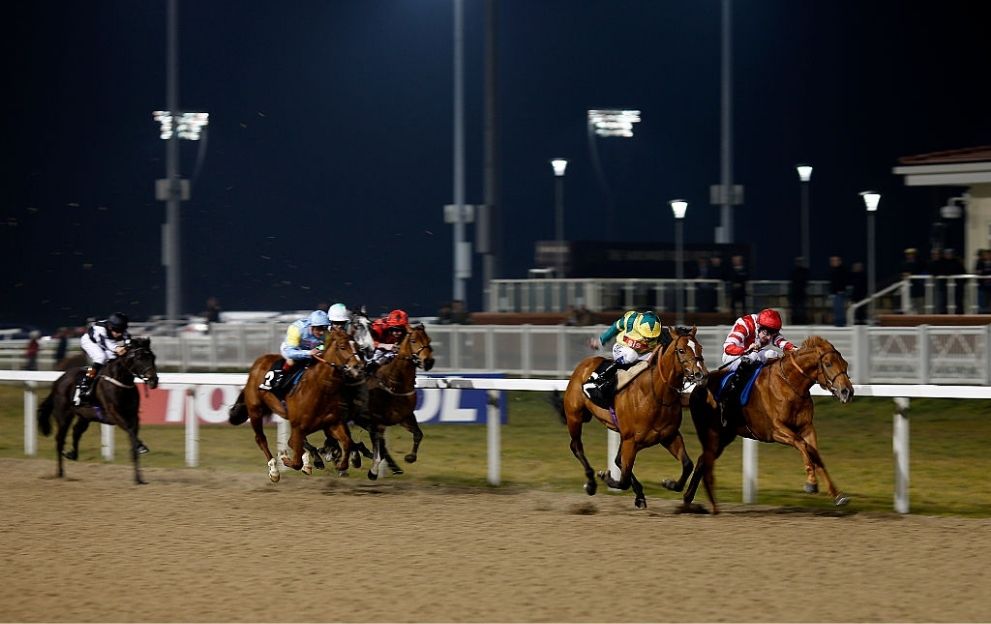 Horse Racing Tips: An 11/2 shout tops our Chelmsford picks tonight