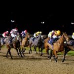 Wolverhampton Races