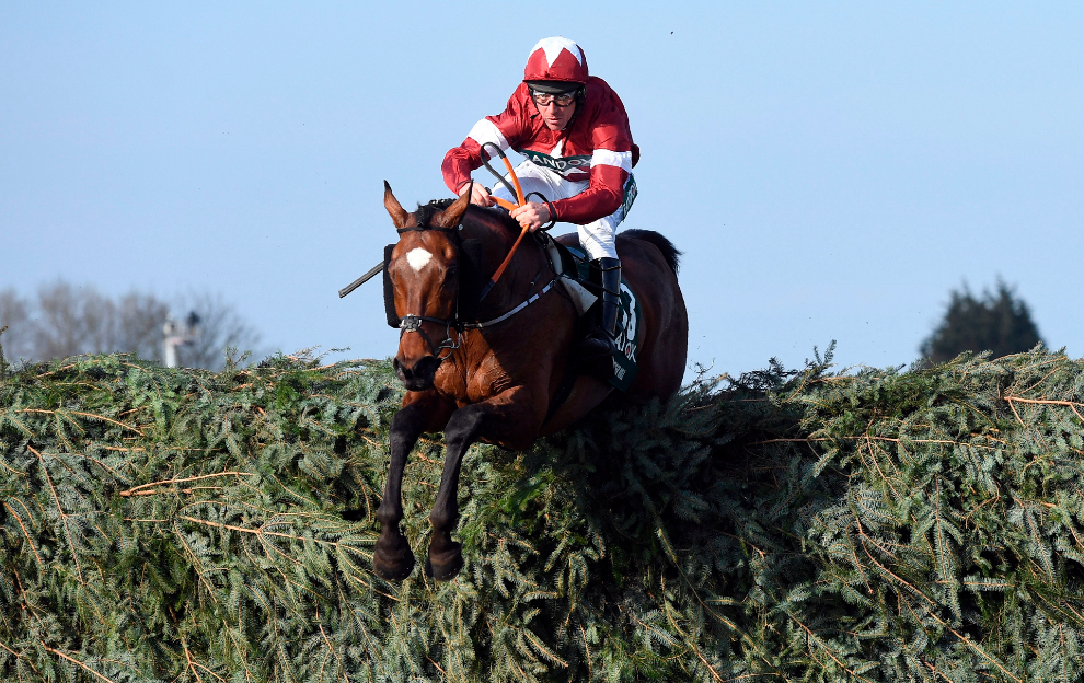 Grand National fence materials