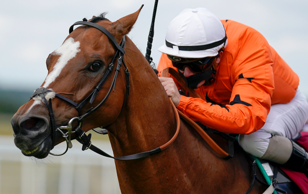 On the bridle Paddy Power guide