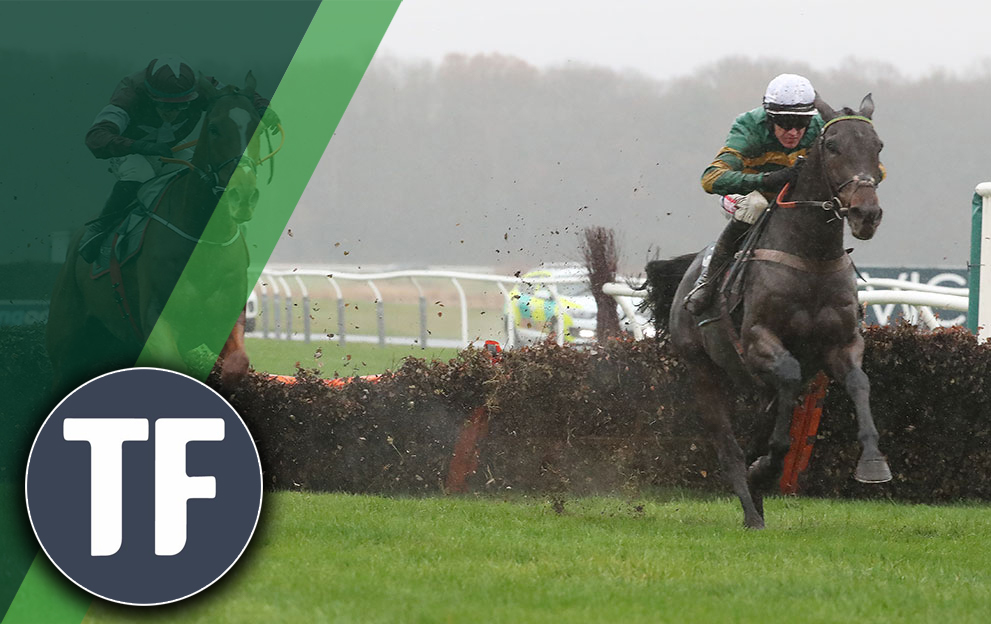 Horse Racing Tips: Timeform’s Thursday punts at Newcastle includes an 8/1 shout