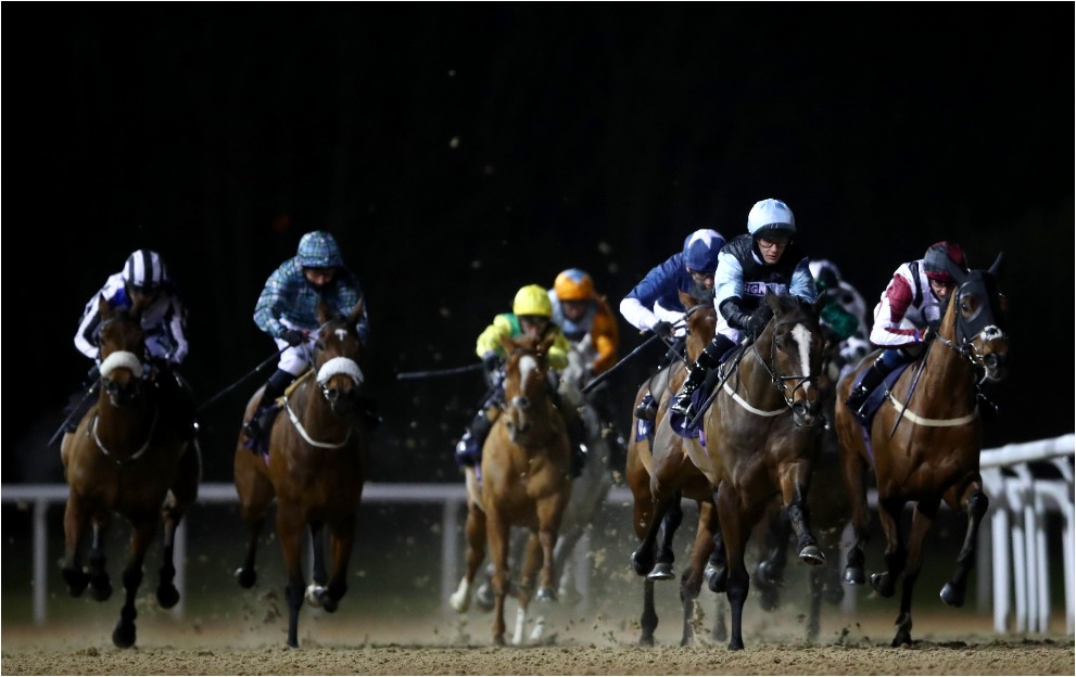 Horse Racing Tips: An 11/2 shout tops our Wolverhampton wagers tonight