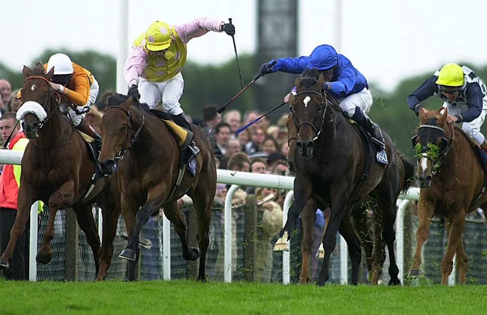 Stewards enquiry horse racing