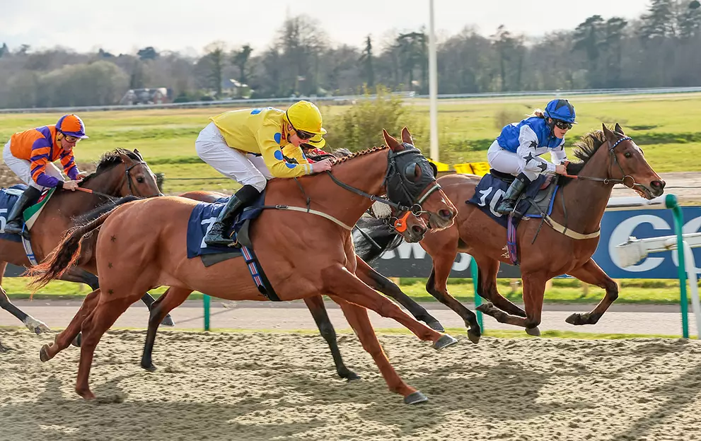 Horse Racing Tips: A 7/1 shout tops our Lingfield picks today