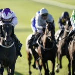 How are horses named